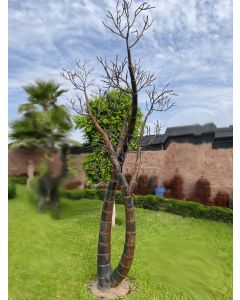 Gartenoase "Köcherbaum", schwarz/rostig, Eisen